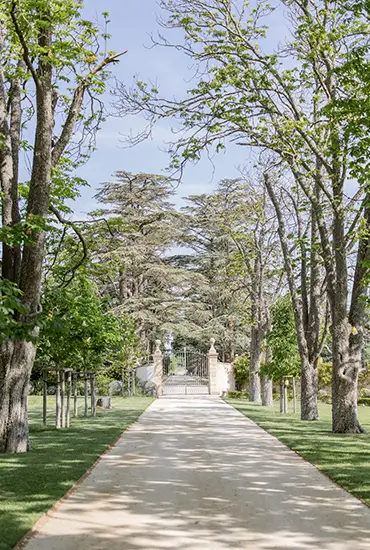 The Park