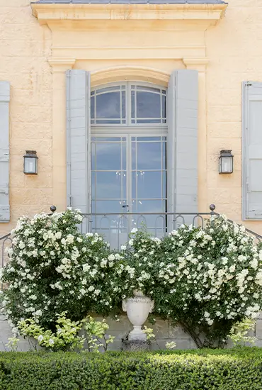 Provençal Detail