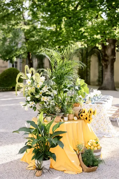 Décoration de table