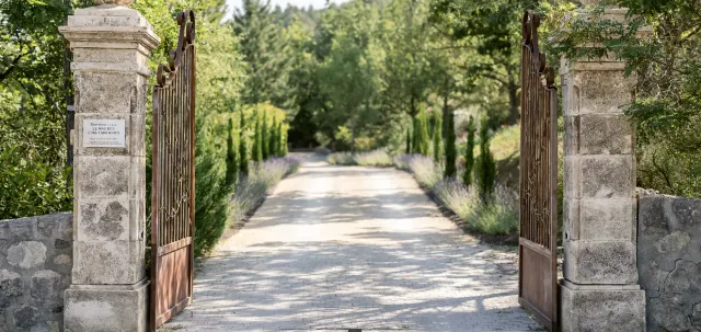 Mariage au Mas des Cinq Fontaines