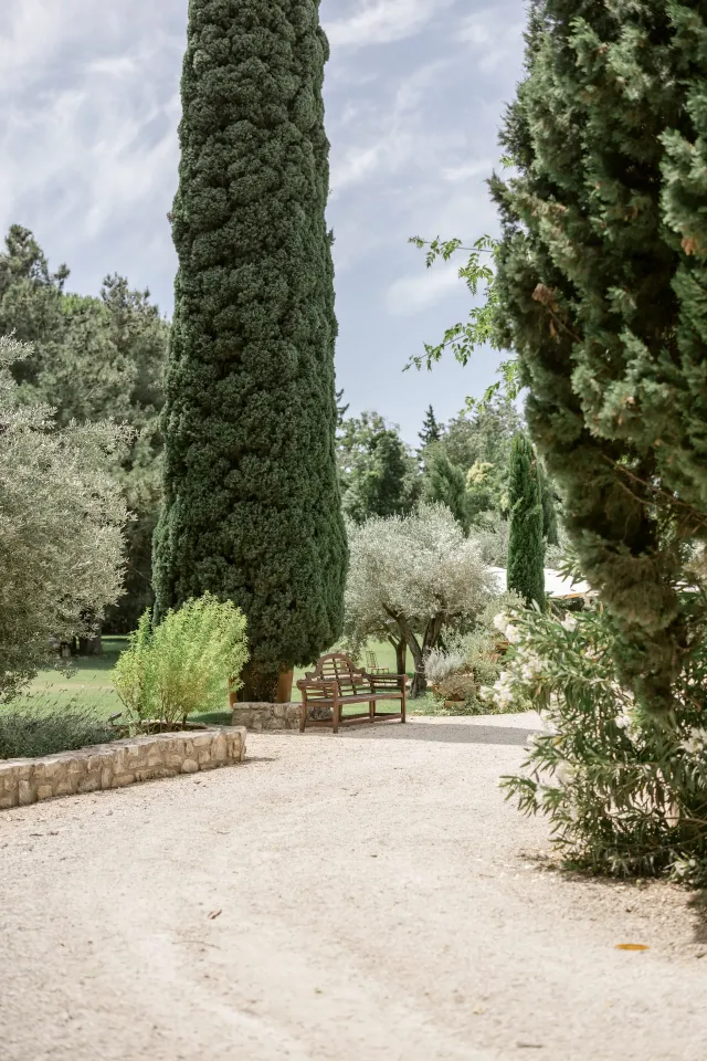 Oliviers et cyprès dans le parc du domaine des Alpilles
