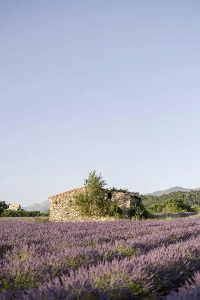Photographe mariage Alpilles