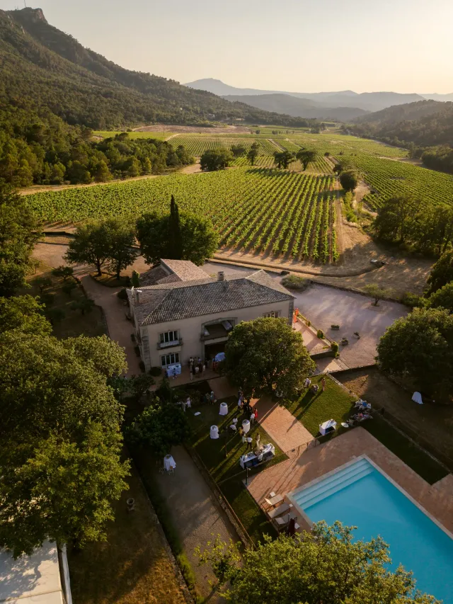 Domaine viticole du Var vu du ciel, vignes et piscine