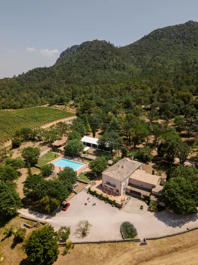 Vue aérienne du Château de l'Escarelle entre vignes et forêt