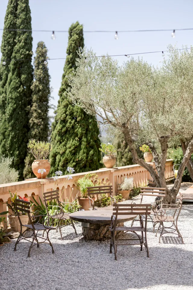 Terrasse ombragée avec jarres et oliviers face au parc